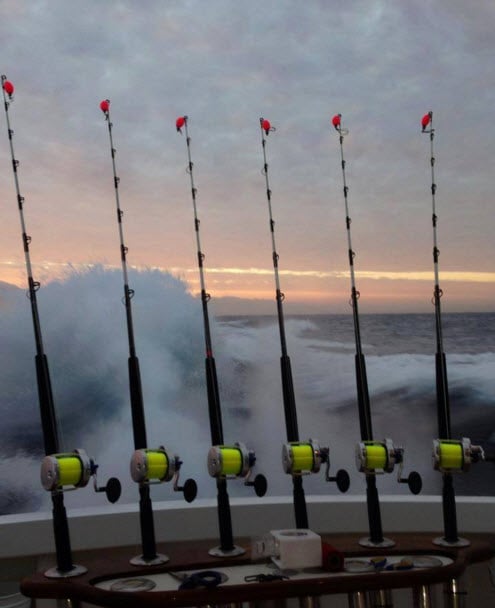 53rd Annual Bucc Cup Comes To Town