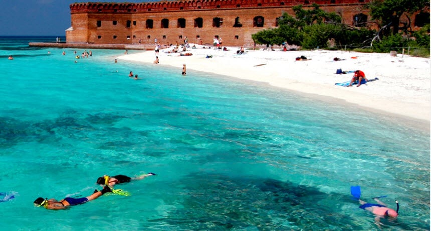Dry Tortugas Snorkeling