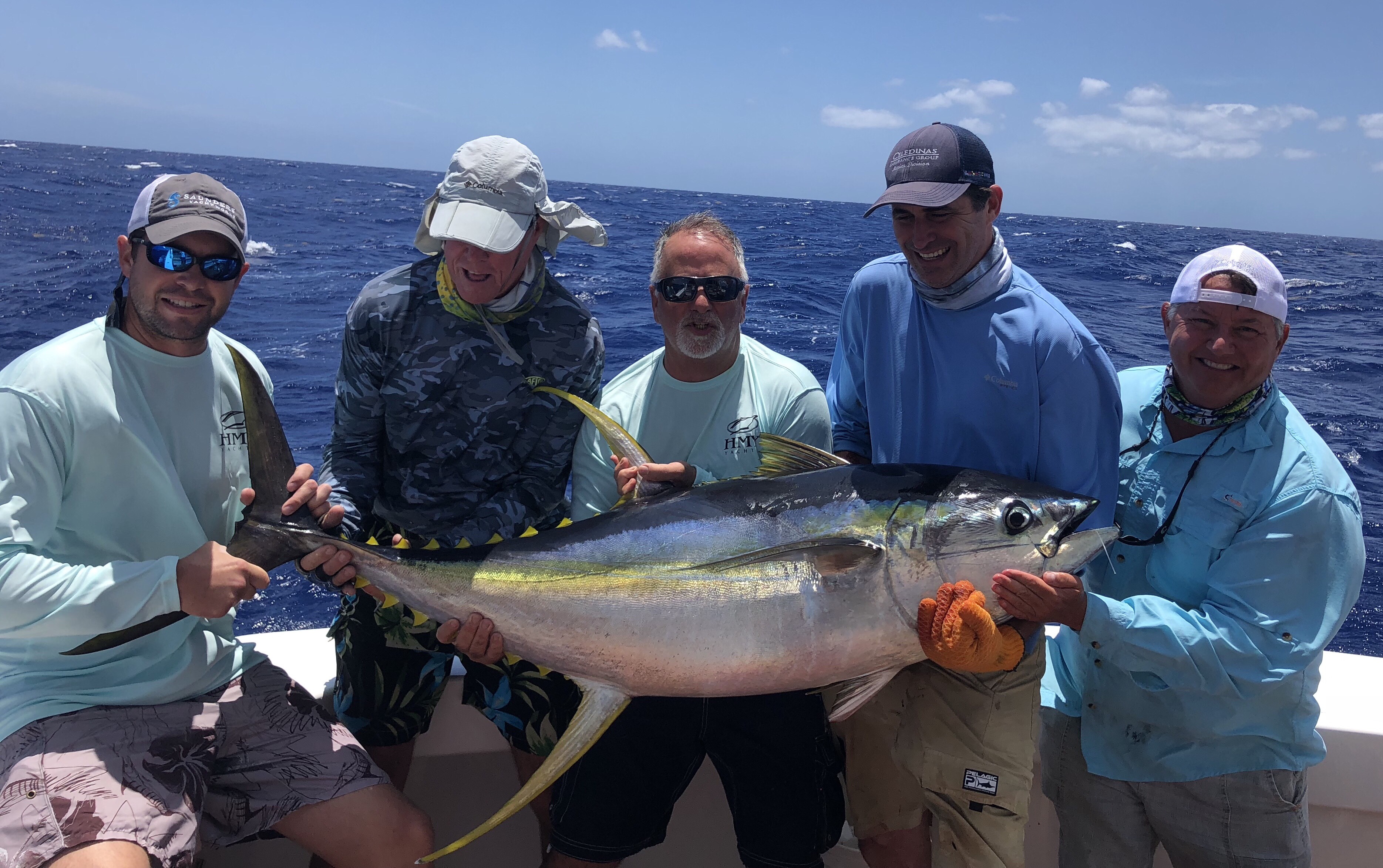 Image 2087: tuna