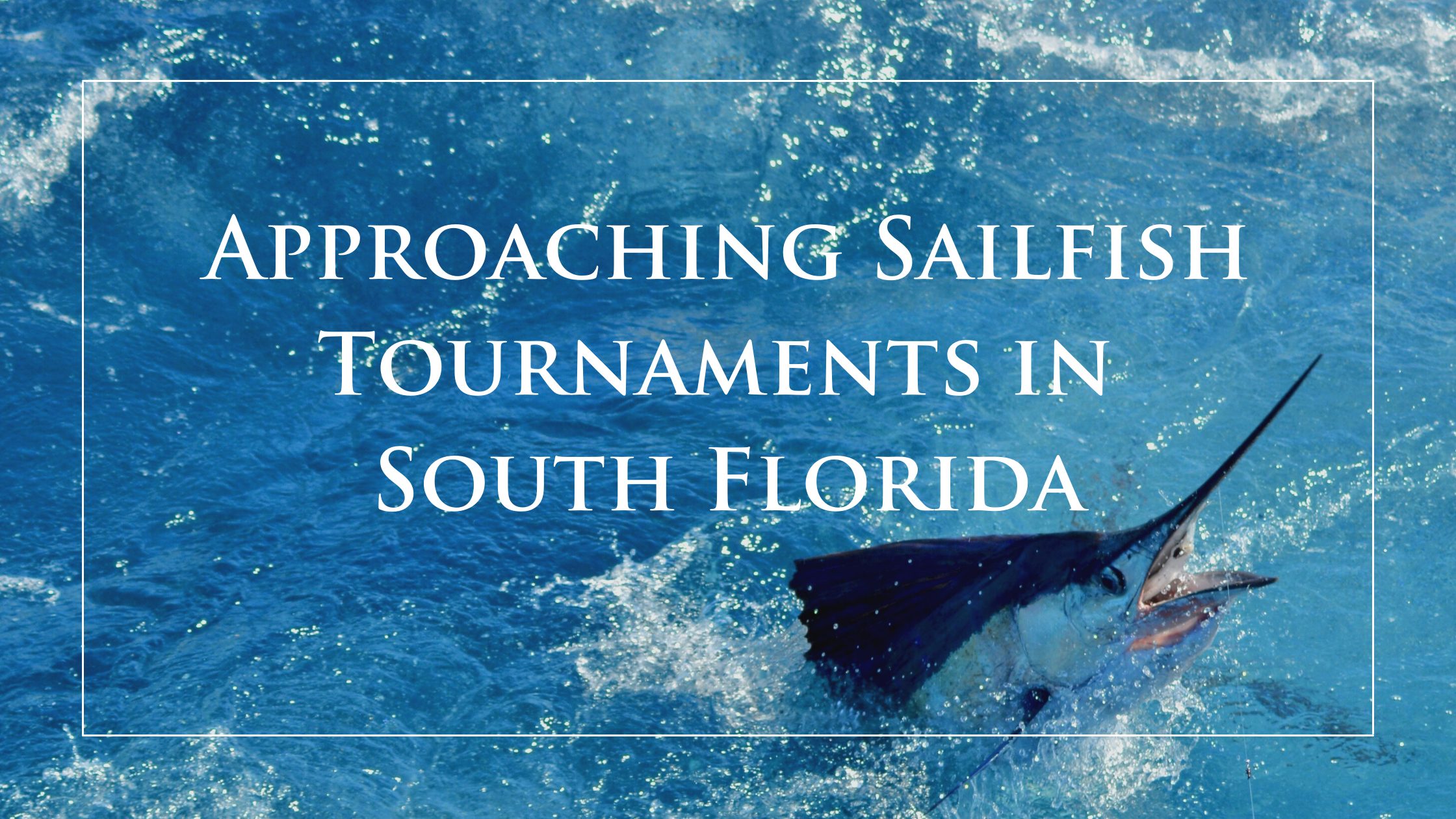 Approaching-Sailfish-Tournaments-in-SoFlo-Blog-Cover-