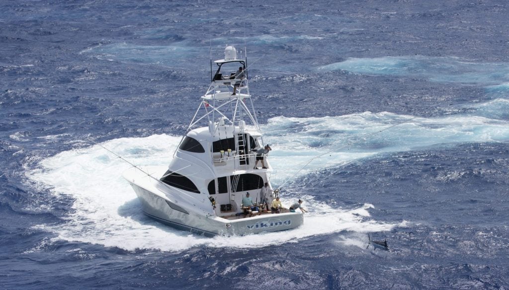 Viking Sportfish Backing Down on Billfish