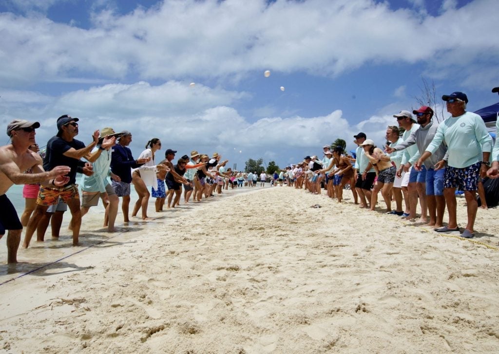 Princess yachts beach day egg toss