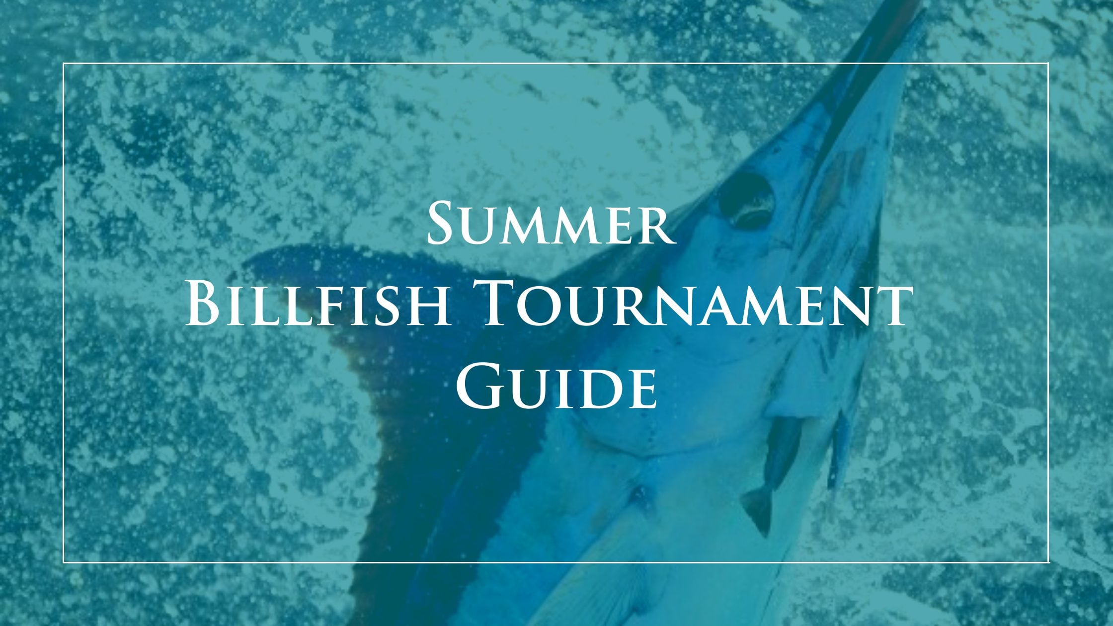 Summer-Billfish-Tournament-Guide-Blog-Cover-Photo