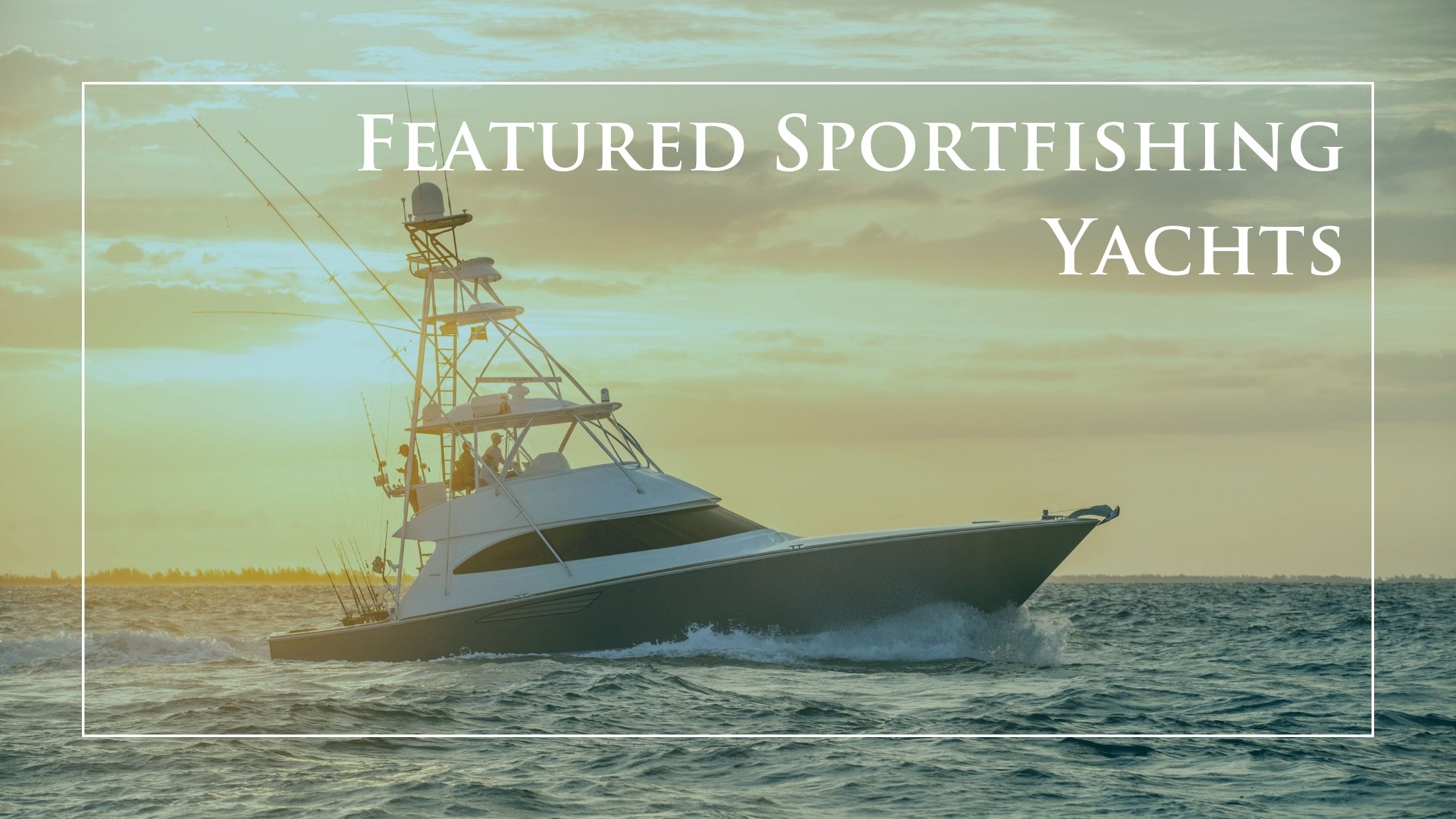 Sportfish-Feature-Header-1