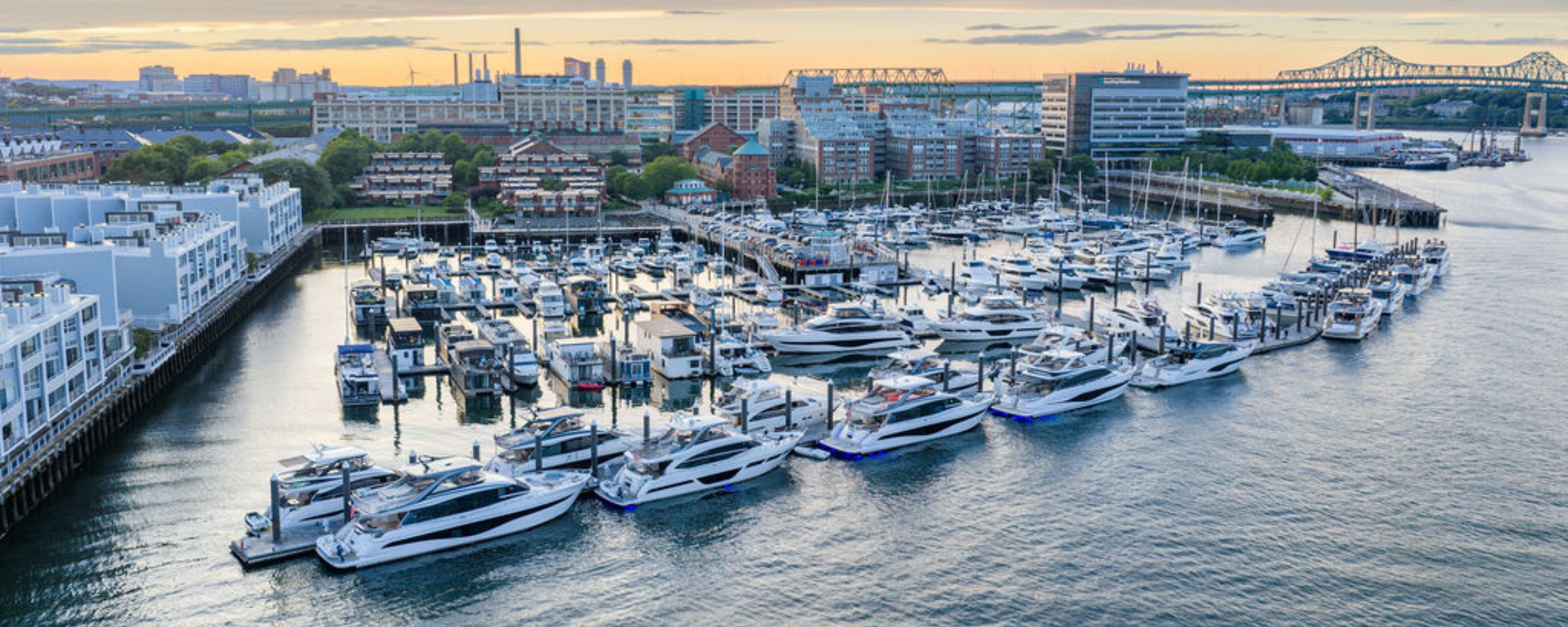 Princess Boston Drone (1).png