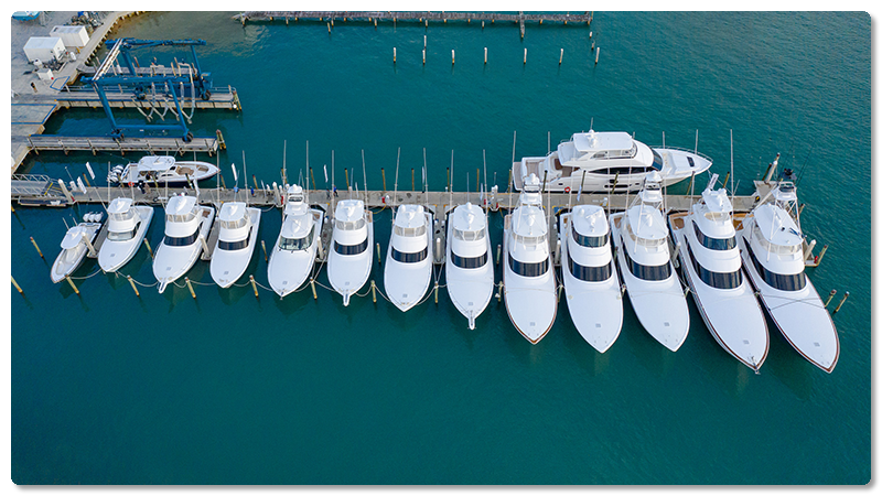 VVfleet-Viking-VIP-Image