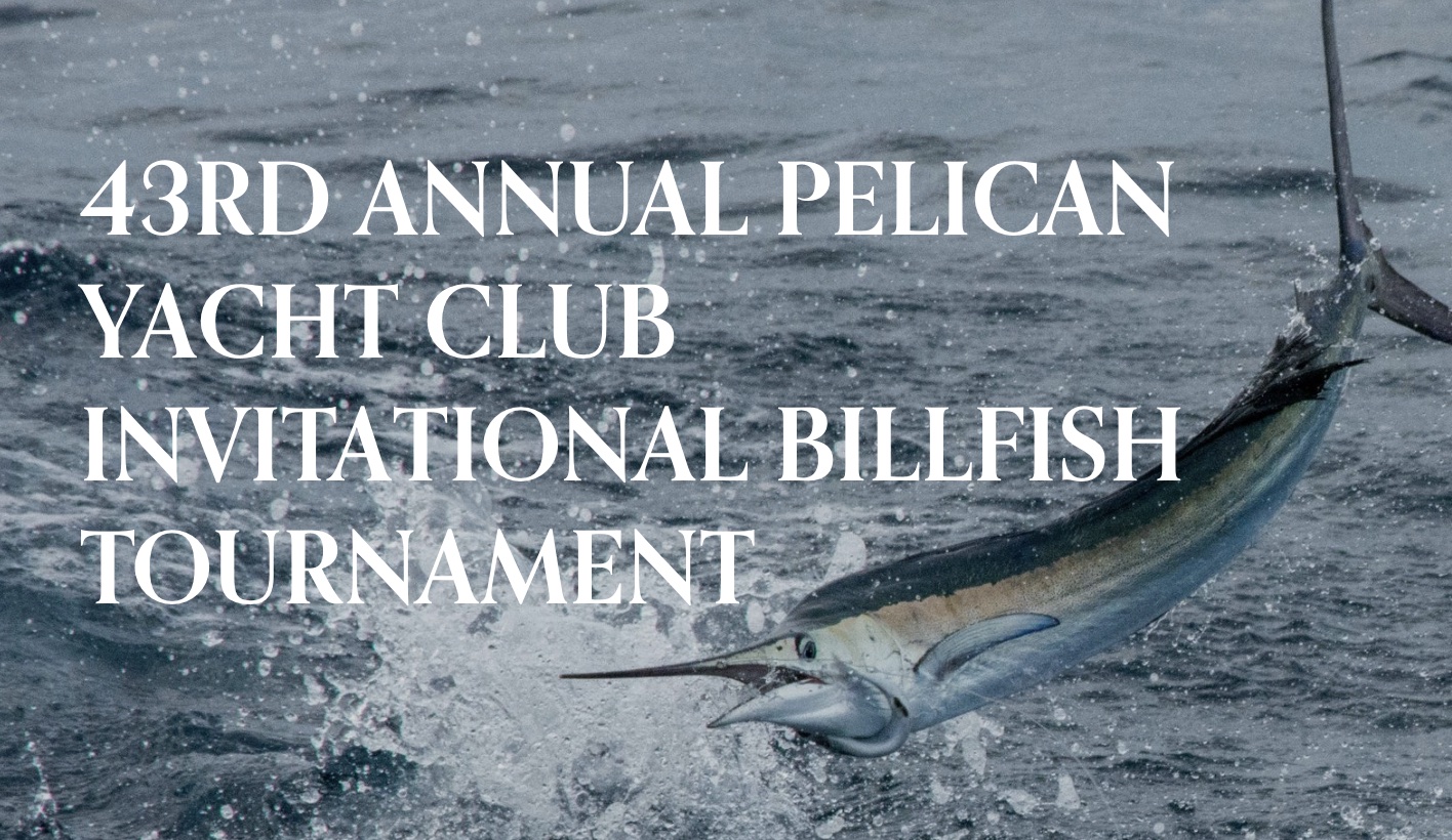 PelicanBillfish-Tournament