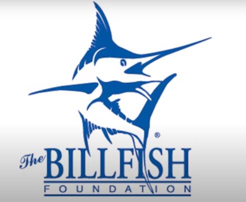 Billfish-Foundation