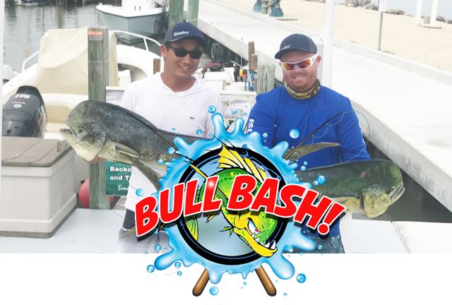 bullbashimage