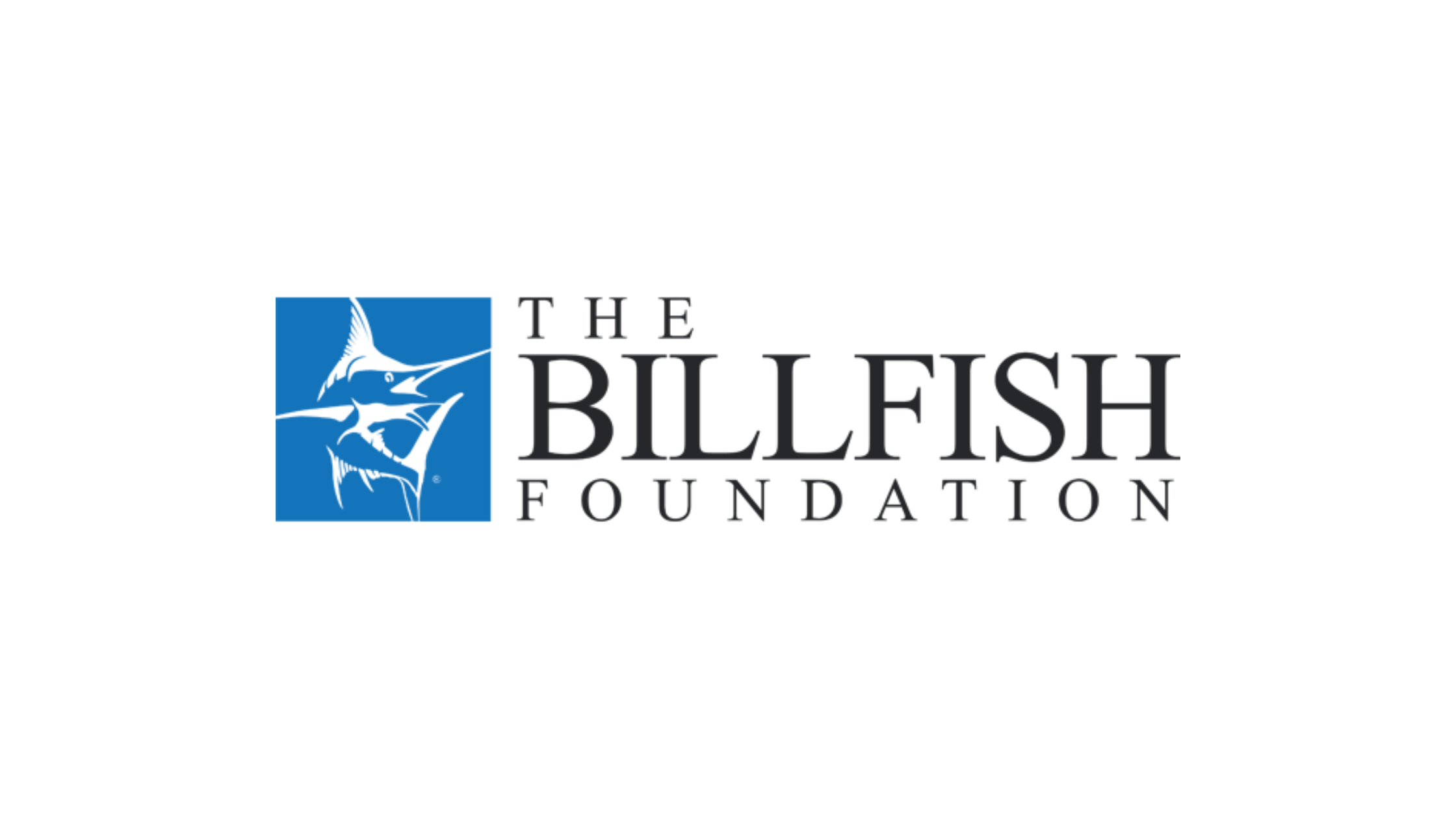 Billfish-Foundation-Thumbnail