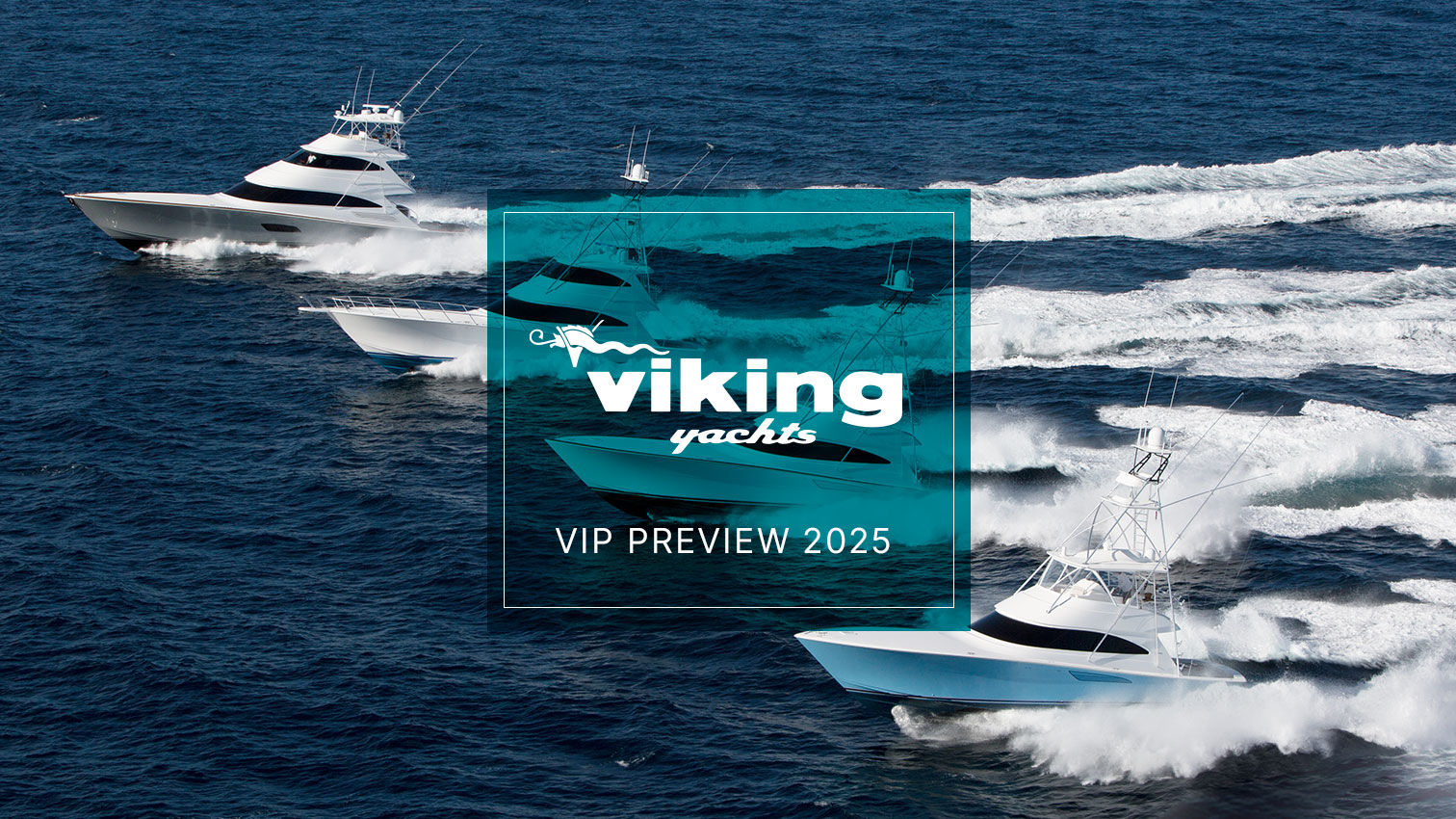 Viking-VIP-Preview.jpg