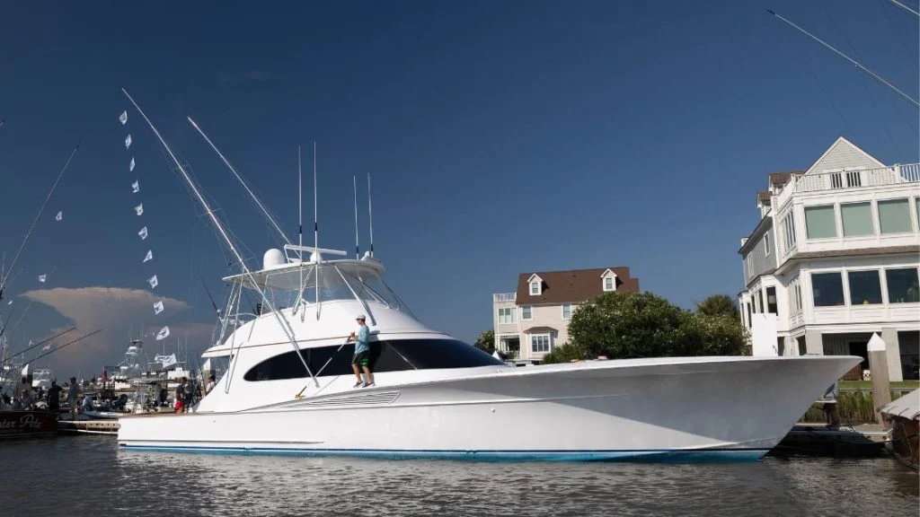 Buckskin Billfish