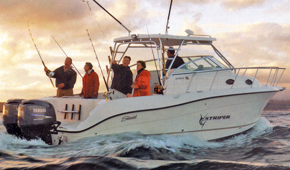 Seaswirl Striper 2901 Walkaround