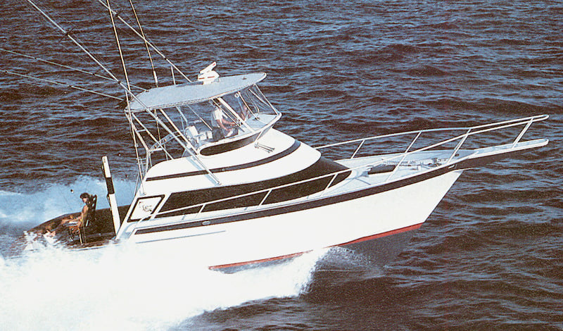 Striker 37 Canyon Runner