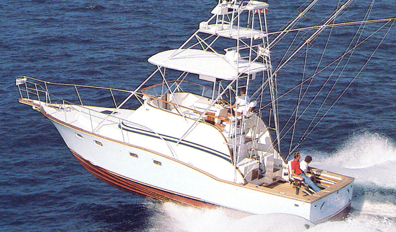 Cabo Rico Chase 38