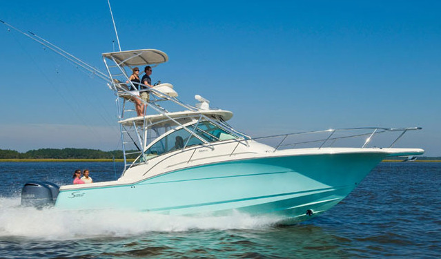 Scout 350 Abaco