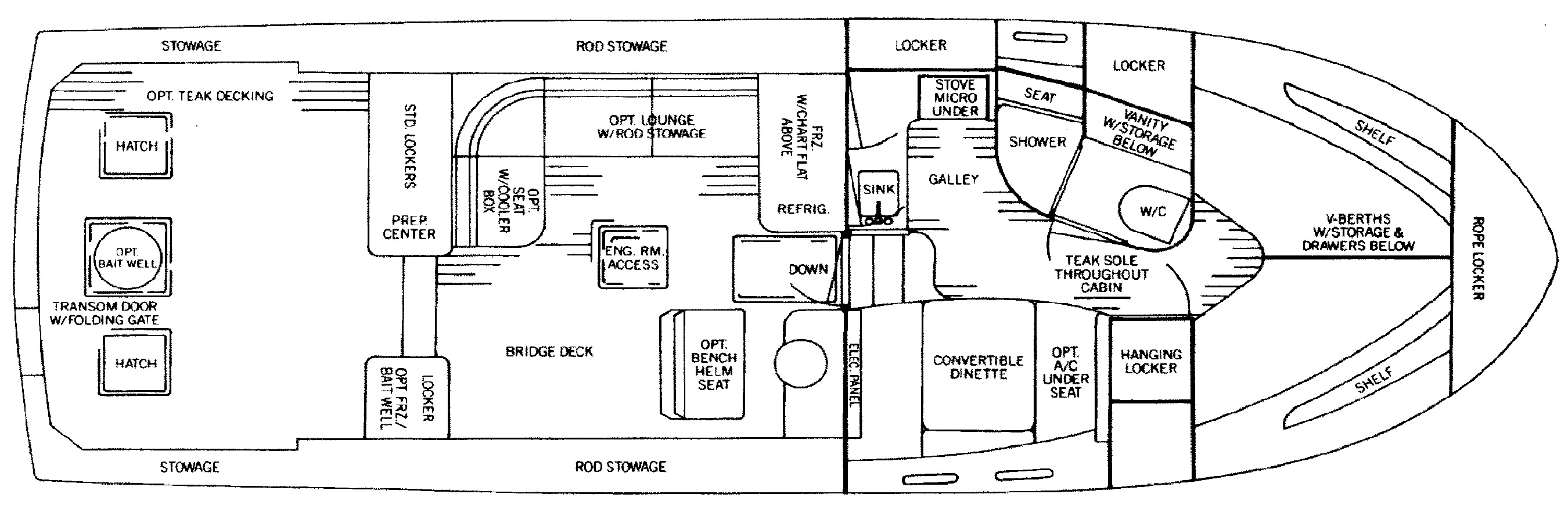 Bertram Yachts 38 Special floor plan