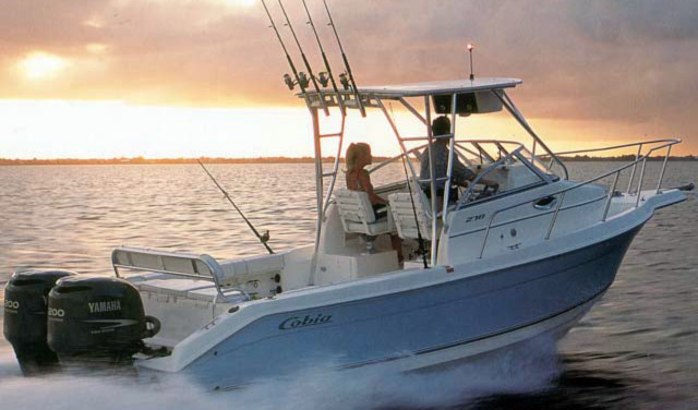 Cobia 260-270 Walkaround