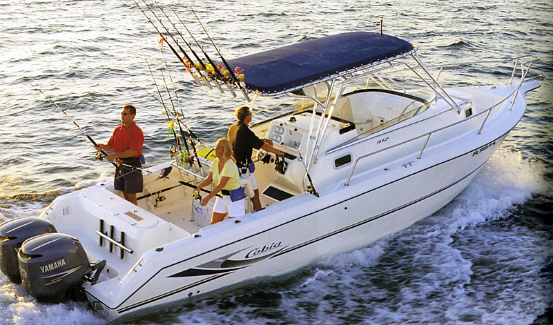 Cobia 312 Sport Cabin
