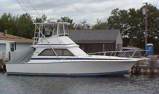 Dawson 38 Convertible