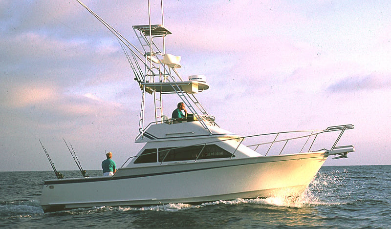 Innovator 31 Sportfisherman