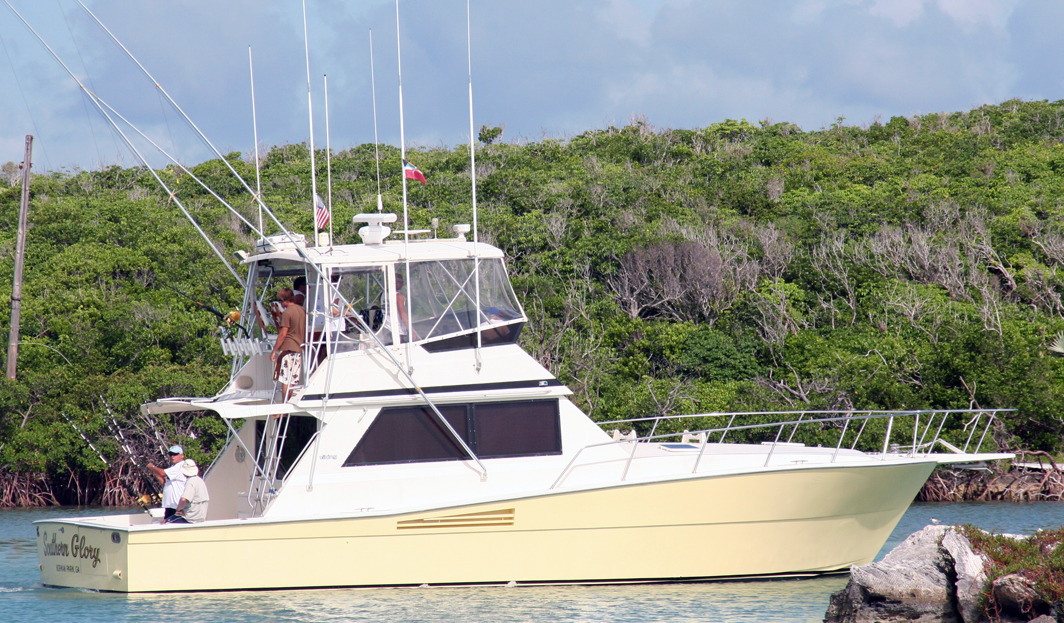 Viking Yachts 45 Convertible