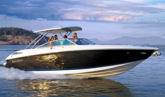Cobalt 302