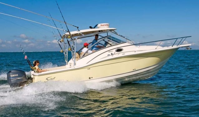 Scout 295 Abaco
