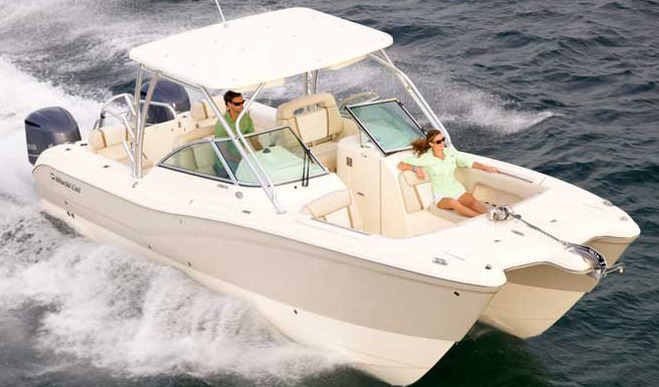World Cat 290-295-296 Dual Console
